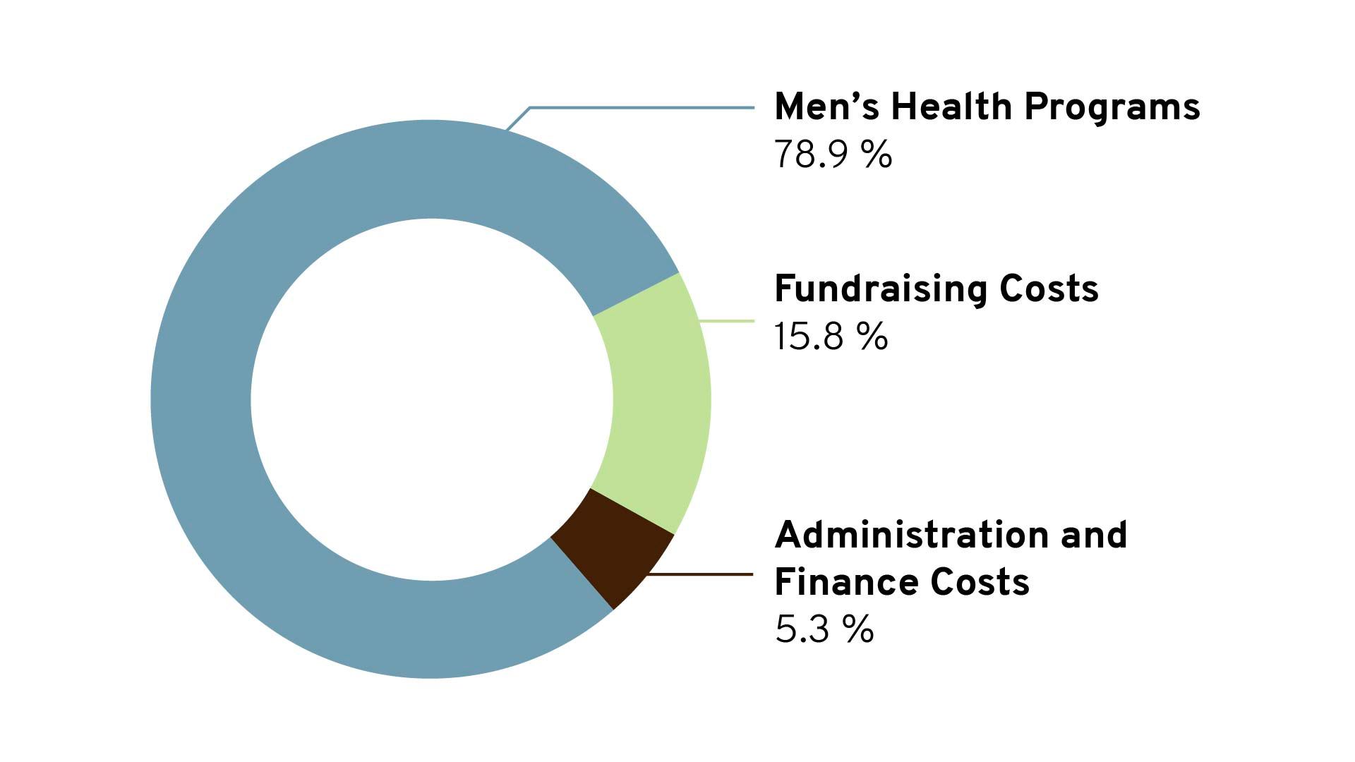 Pie chart showing Movember's financial information.